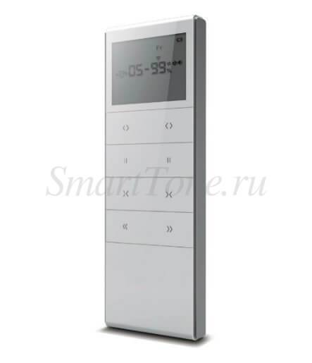 Пульт двухконтролерный AC1663